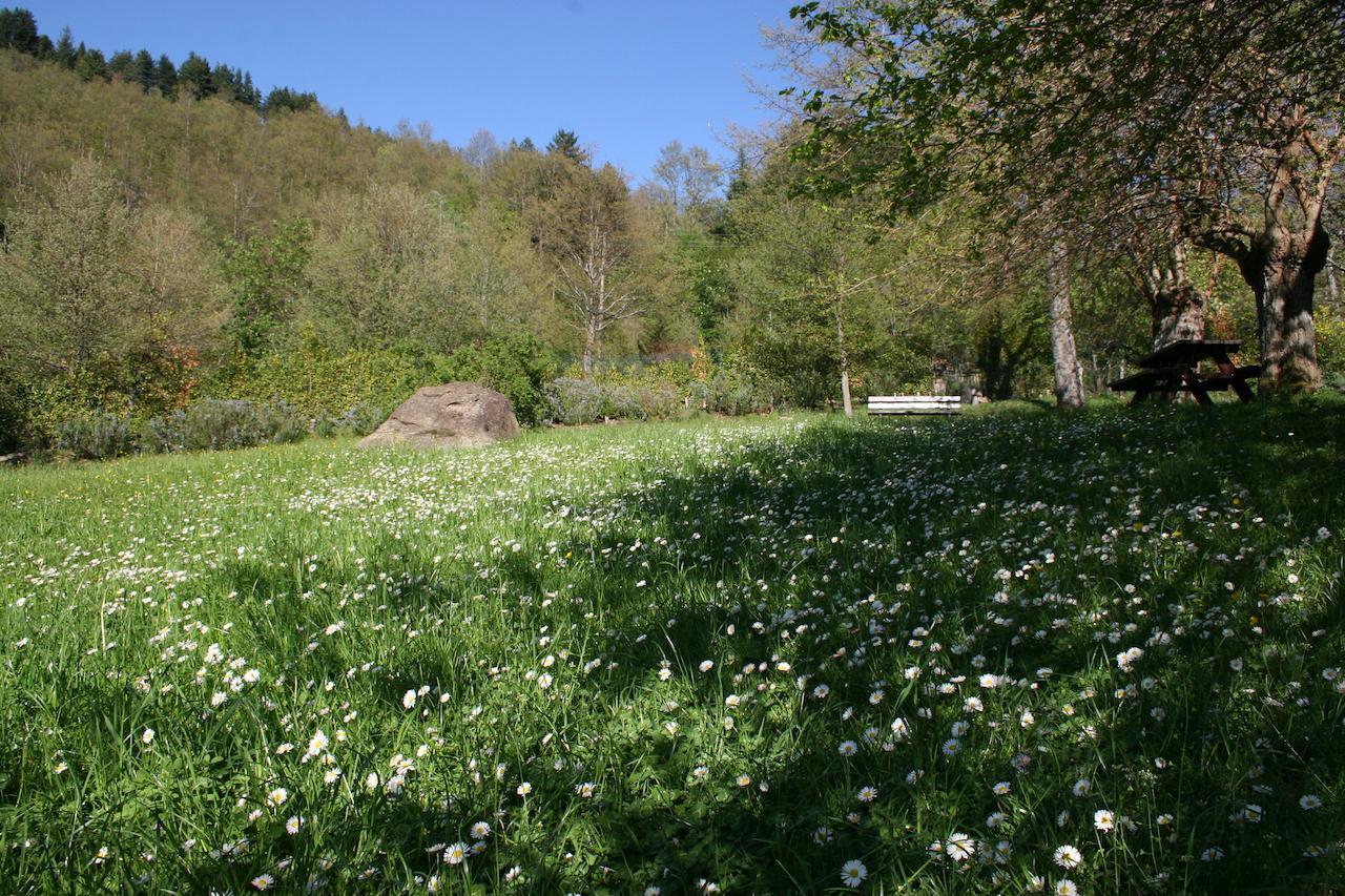 Podere Pian De' Cortini Villa Serravalle  Buitenkant foto